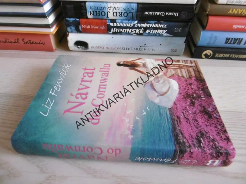 NÁVRAT DO CORNWALLU, LIZ FENWICK, **an