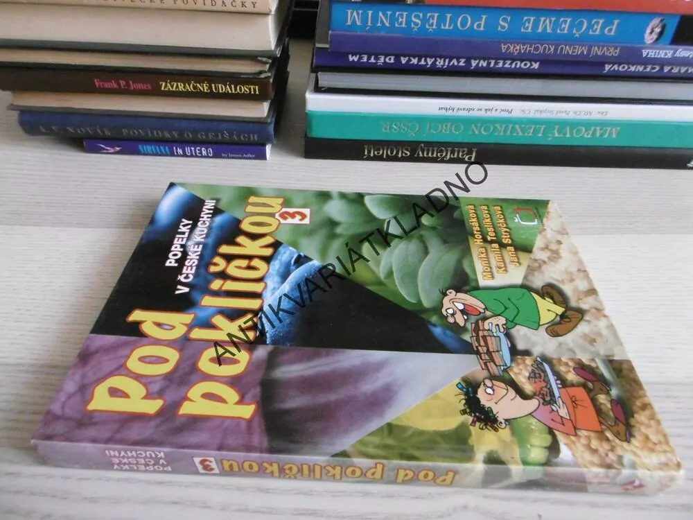 POD POKLIČKOU 3, POPELKY V ČESKÉ KUCHYNI, MONIKA HORSÁKOVÁ, KAMILA TESLÍKOVÁ, JANA STRÝČKOVÁ, **an