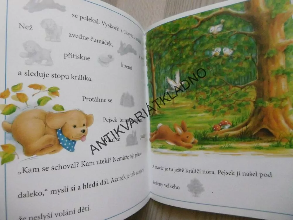 AZOREK V LESE, MALOVANÉ ČTENÍ S BAREVNÝMI NÁLEPKAMI, **an
