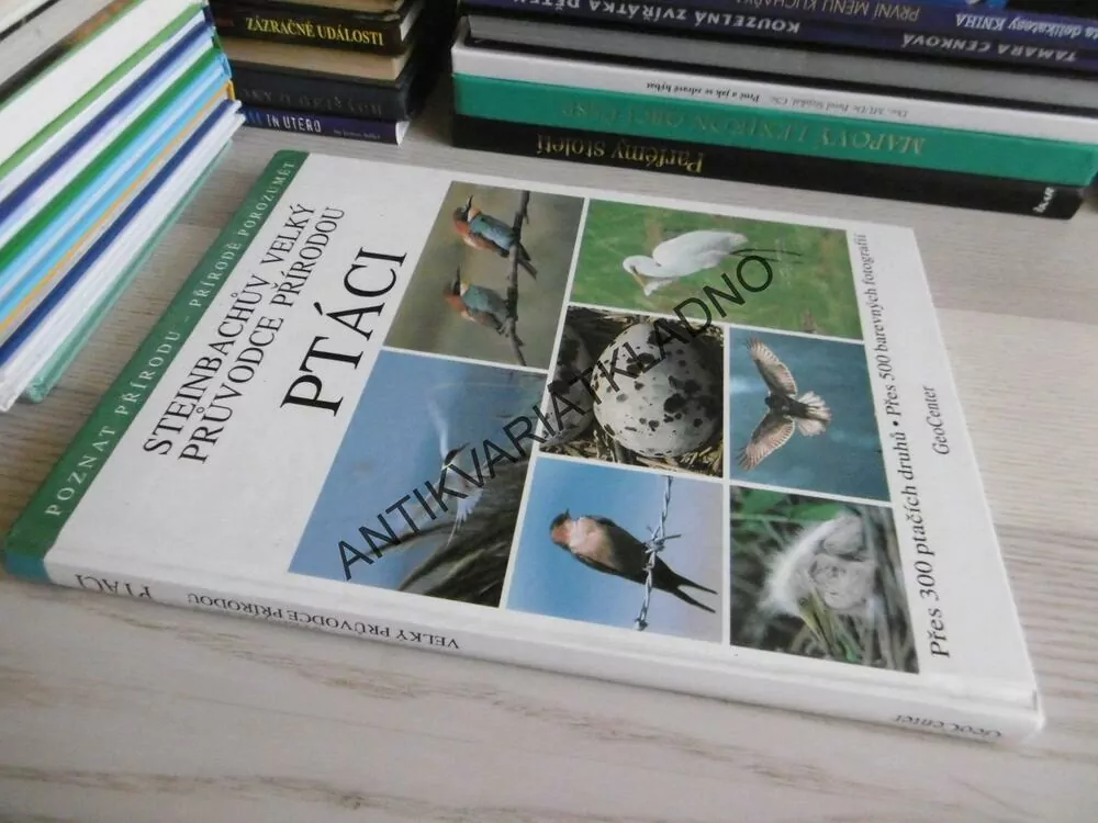 PTÁCI, STEINBACHŮV VELKÝ PRŮVODCE PŘÍRODOU, REINHARD WITT, **an
