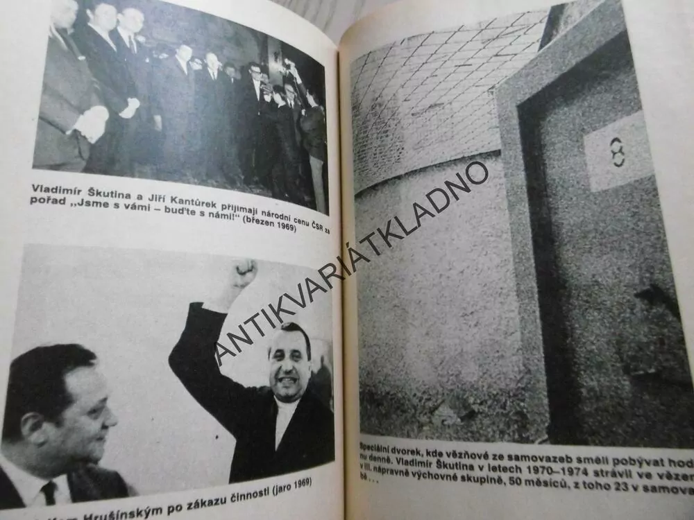 ODSTRAŠUJÍCÍ PŘÍKLAD, VLADIMÍR ŠKUTINA, **an