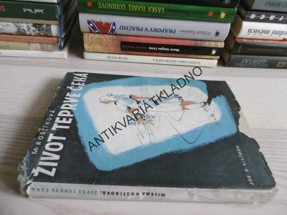 ŽIVOT TEPRVE ČEKÁ, M. ROŠTÍKOVÁ, **an