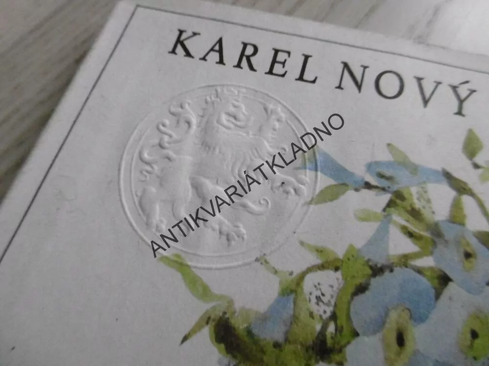BÁSNÍKOVA PRVNÍ LÁSKA, KAREL NOVÝ, **an