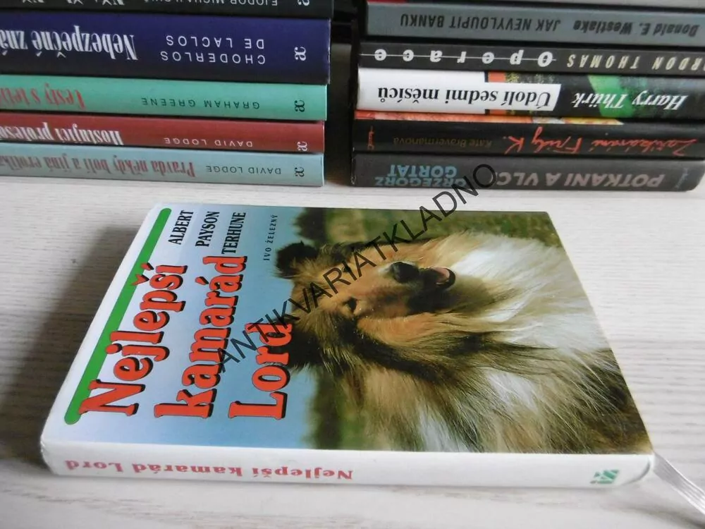 NEJLEPŠÍ KAMARÁD LORD, ALBERT PAYSON TERHUNE, **an