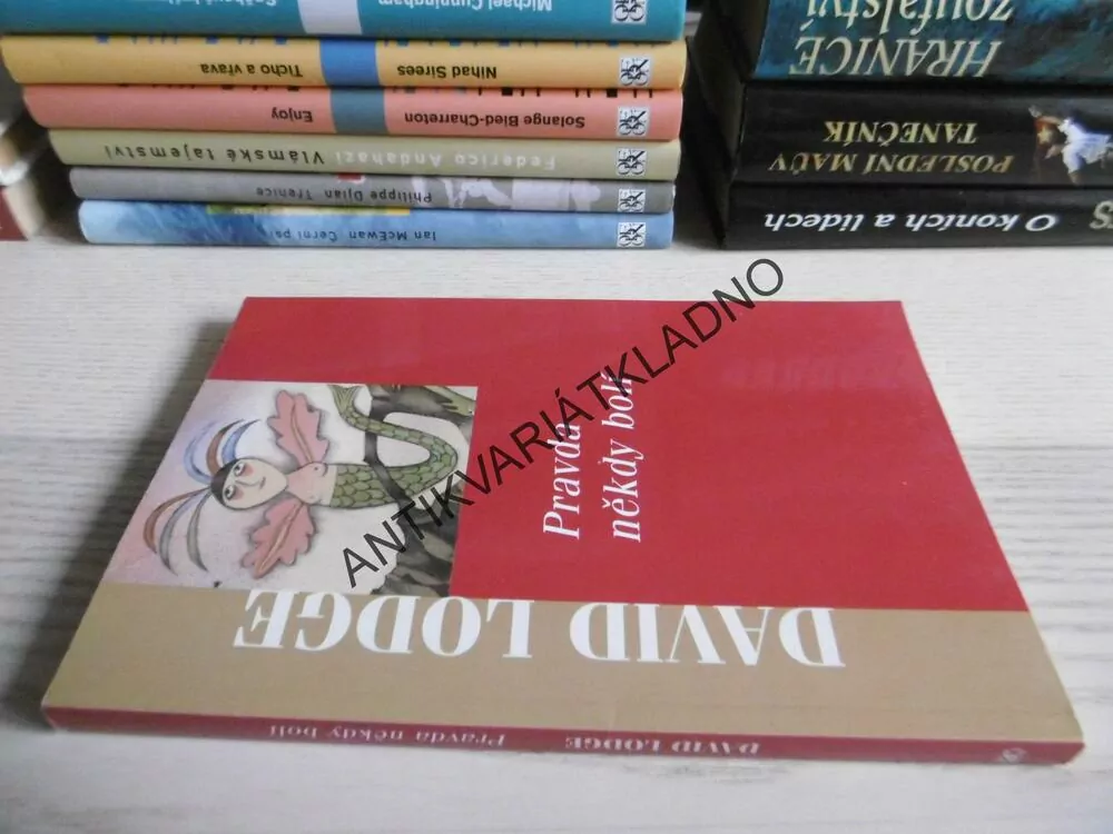 PRAVDA NĚKDY BOLÍ, DAVID LODGE, **an
