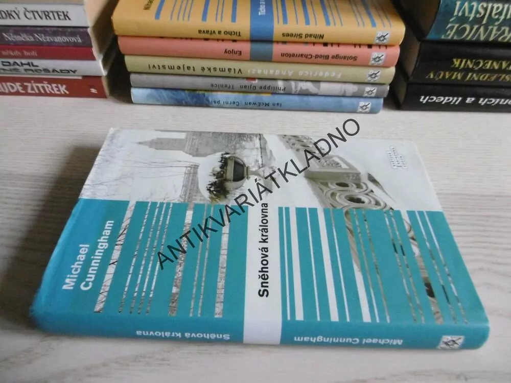 SNĚHOVÁ KRÁLOVNA, MICHAEL CUNNINGHAM, **an