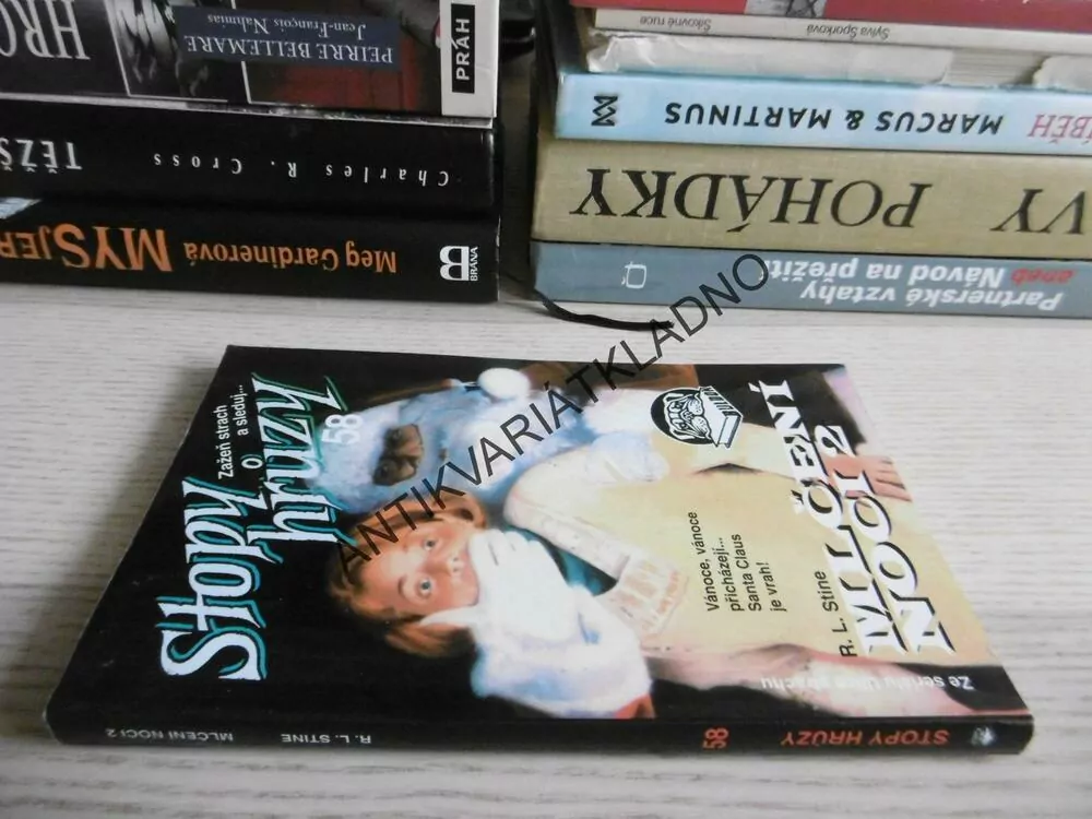 STOPY HRŮZY 58 - MLČENÍ NOCI 2., R. L. STINE