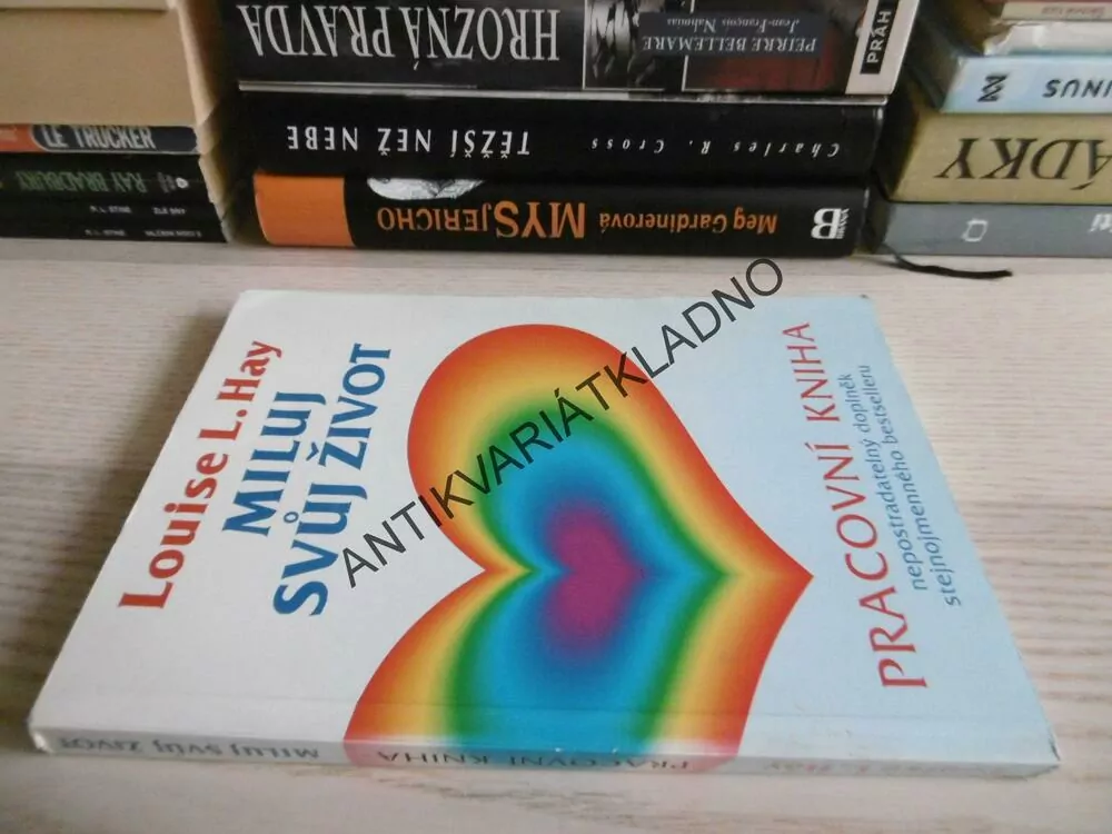 MILUJ SVŮJ ŽIVOT, PRACOVNÍ KNIHA, LOUISE L.HAY, **an