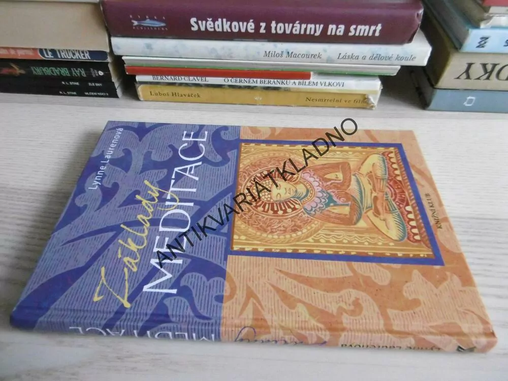 ZÁKLADY MEDITACE, LYNNE LAURENOVÁ, **an 