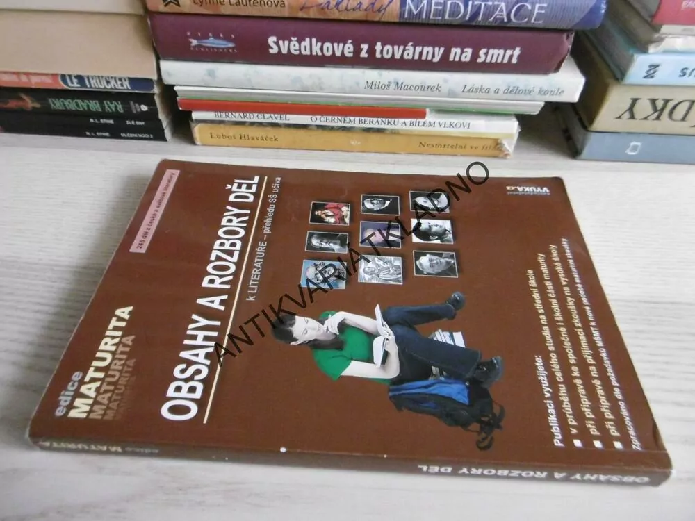 OBSAHY A ROZBORY DĚL K LITERATUŘE