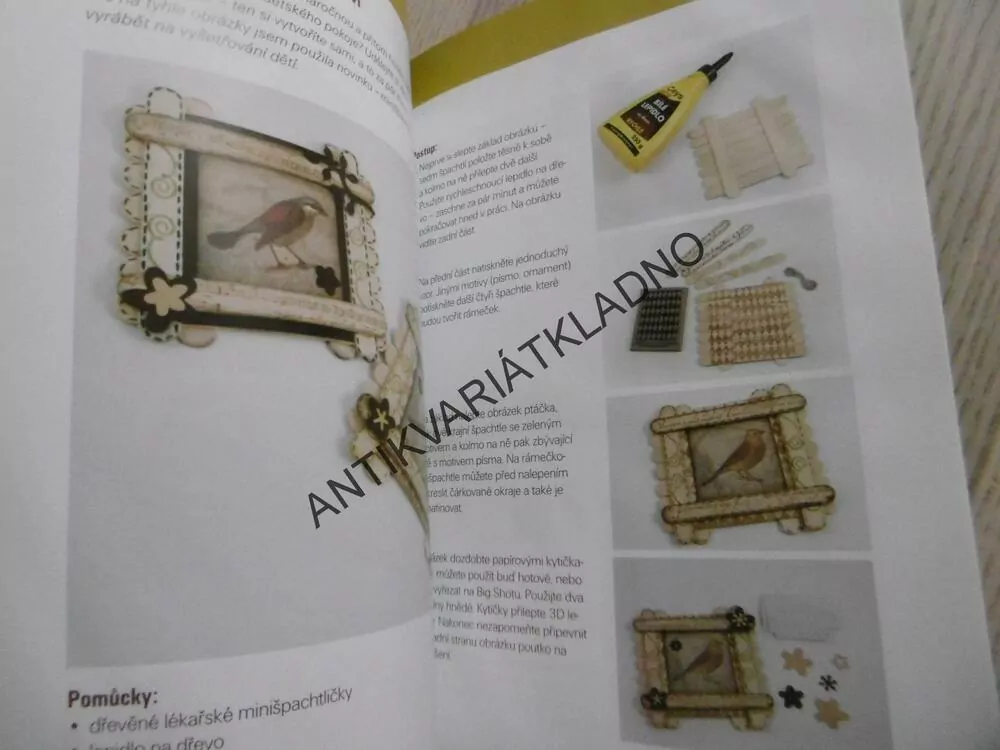 KOUZLENÍ S RAZÍTKY, SYLVA ŠPORKOVÁ, **an