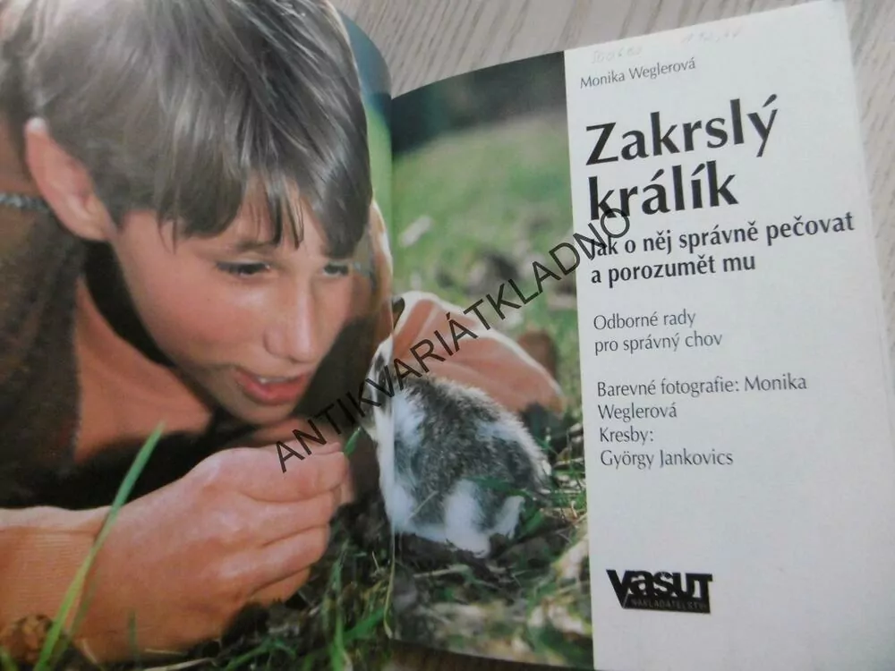 ZAKRSLÝ KRÁLÍK, MONIKA WEGLEROVÁ, **an