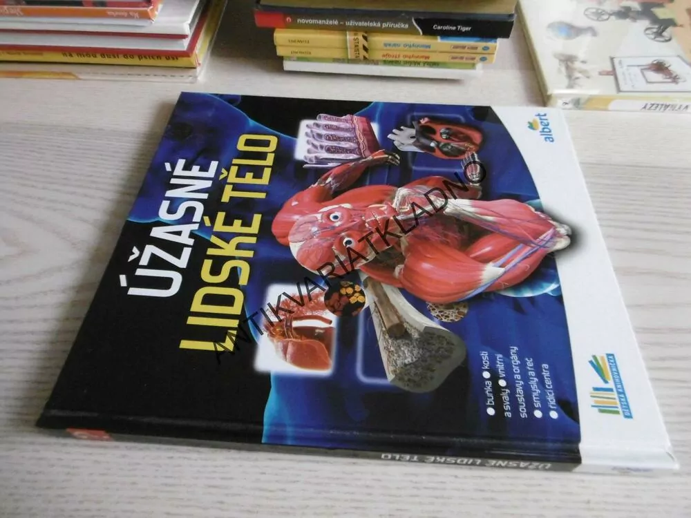 ÚŽASNÉ LIDSKÉ TĚLO, **an