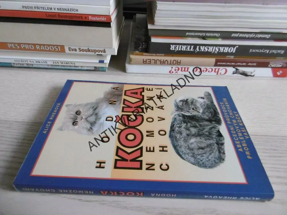 HODNÁ KOČKA, NEMOŽNÉ CHOVÁNÍ, ALICE RHEAOVÁ, **an