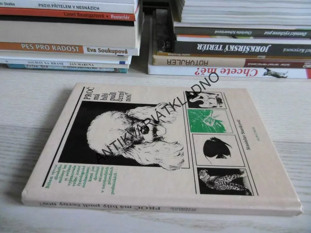 PROČ MÁ BÍLÝ PUDL ČERNÝ NOS?, STANISLAV STARIKOVIČ, **an