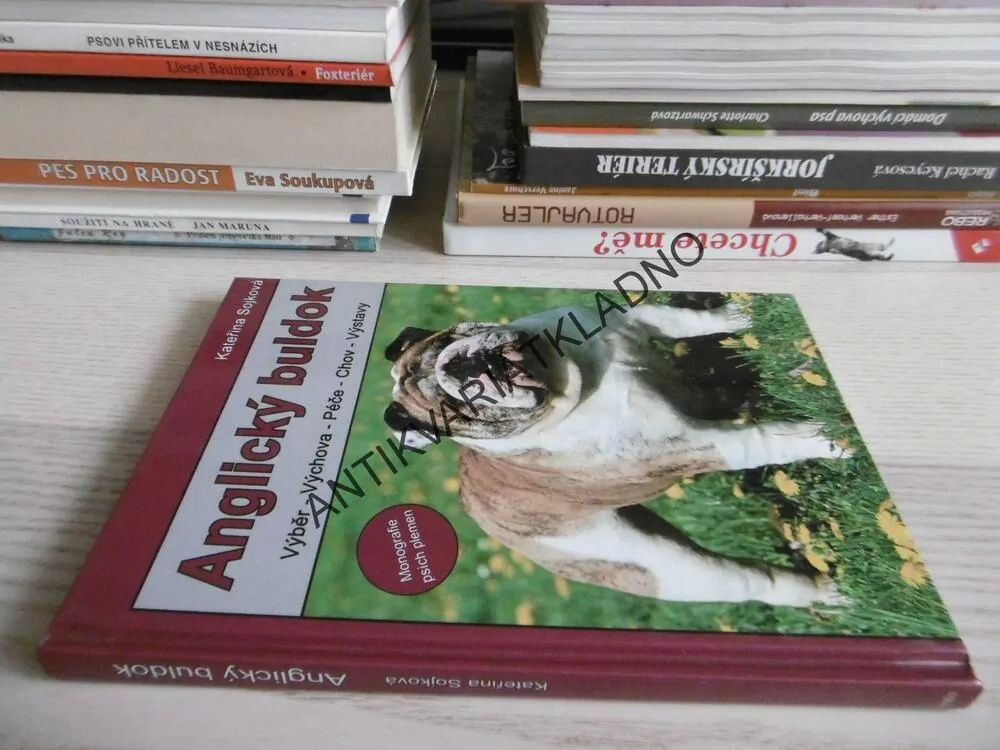 ANGLICKÝ BULDOK, VÝBĚR, VÝCHOVA, PÉČE, CHOV, VÝSTAVY, KATEŘINA SOJKOVÁ, **an