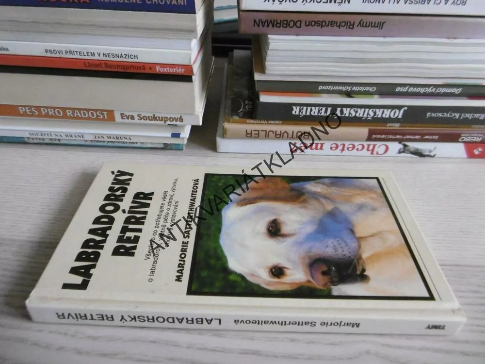 LABRADORSKÝ RETRÍVR, MARJORIE SATTERTHWAITEOVÁ, **an
