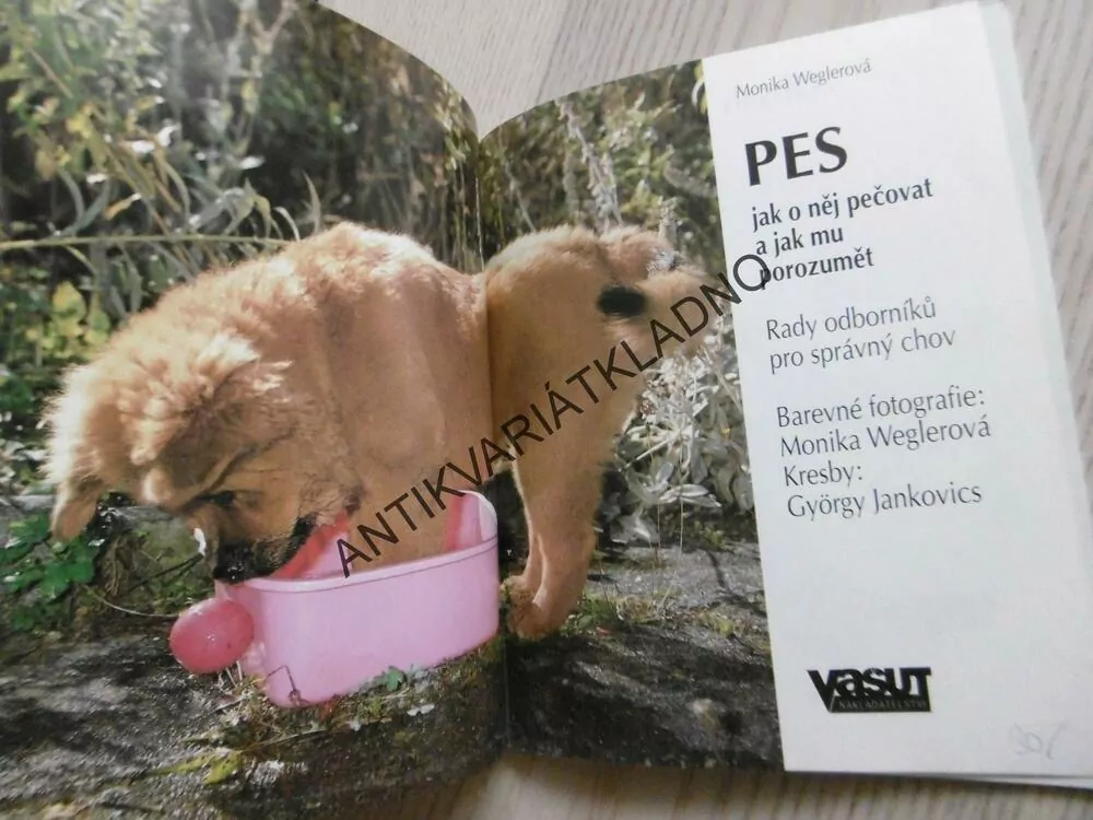 PES, MONIKA WEGLEROVÁ, **an