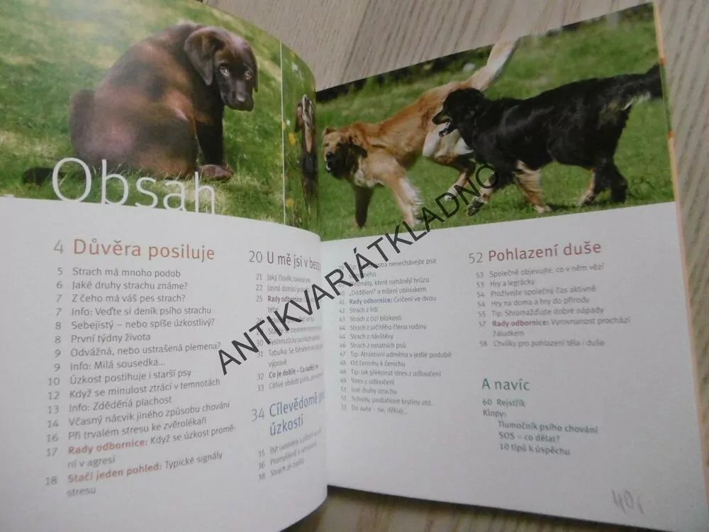 MŮJ PES MÁ STRACH, ANJA MACK, KIRSTEN WOLF, **an