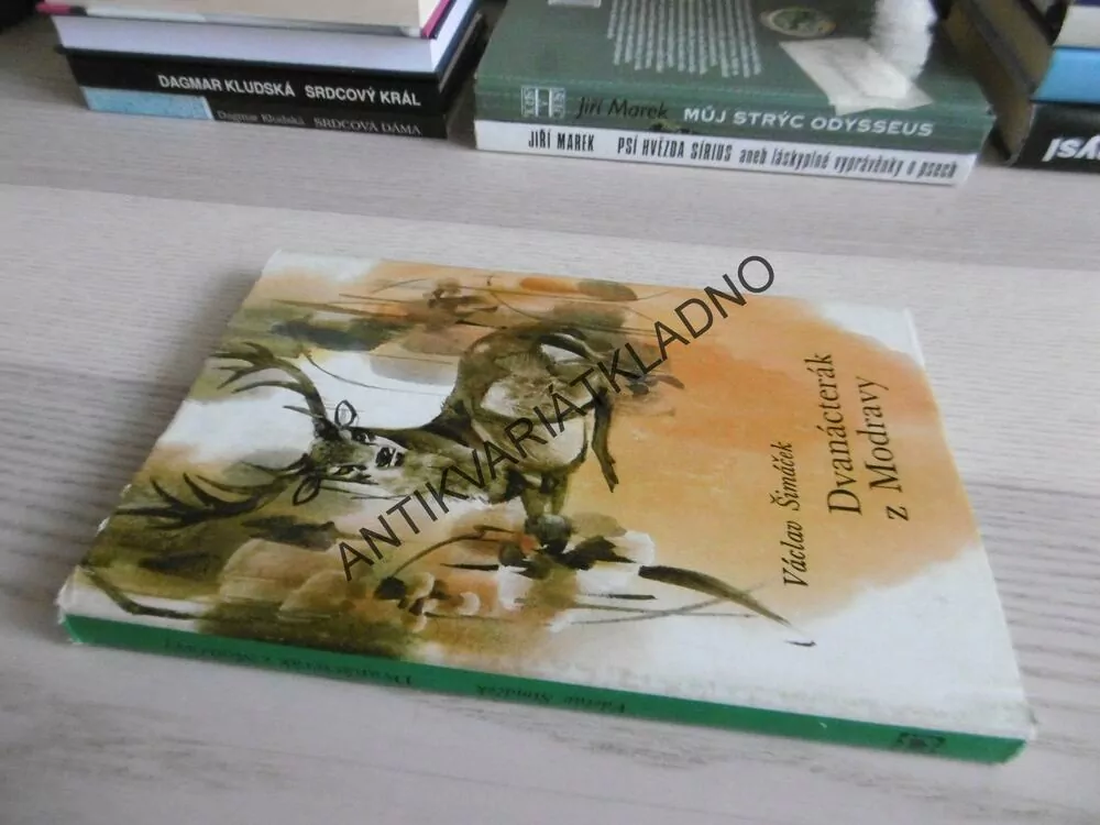 DVANÁCTERÁK Z MODRAVY, VÁCLAV ŠIMÁČEK, **an