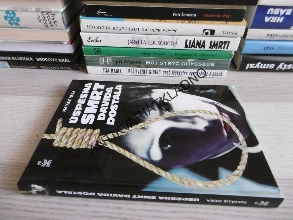 ÚSPĚŠNÁ SMRT DAVIDA DOSTÁLA, NATÁLIE NERA, **an