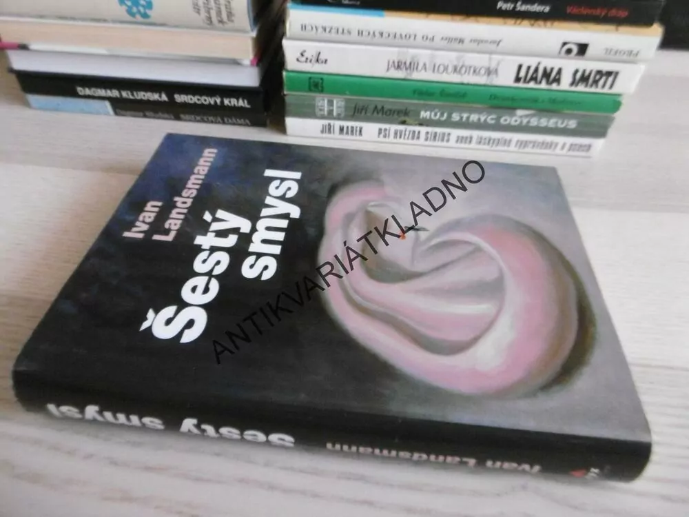 ŠESTÝ SMYSL, IVAN LANDSAMANN, **an