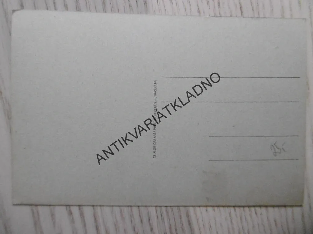 ALŽÍR, ALŽÍRSKO, ALEJ, PALMY