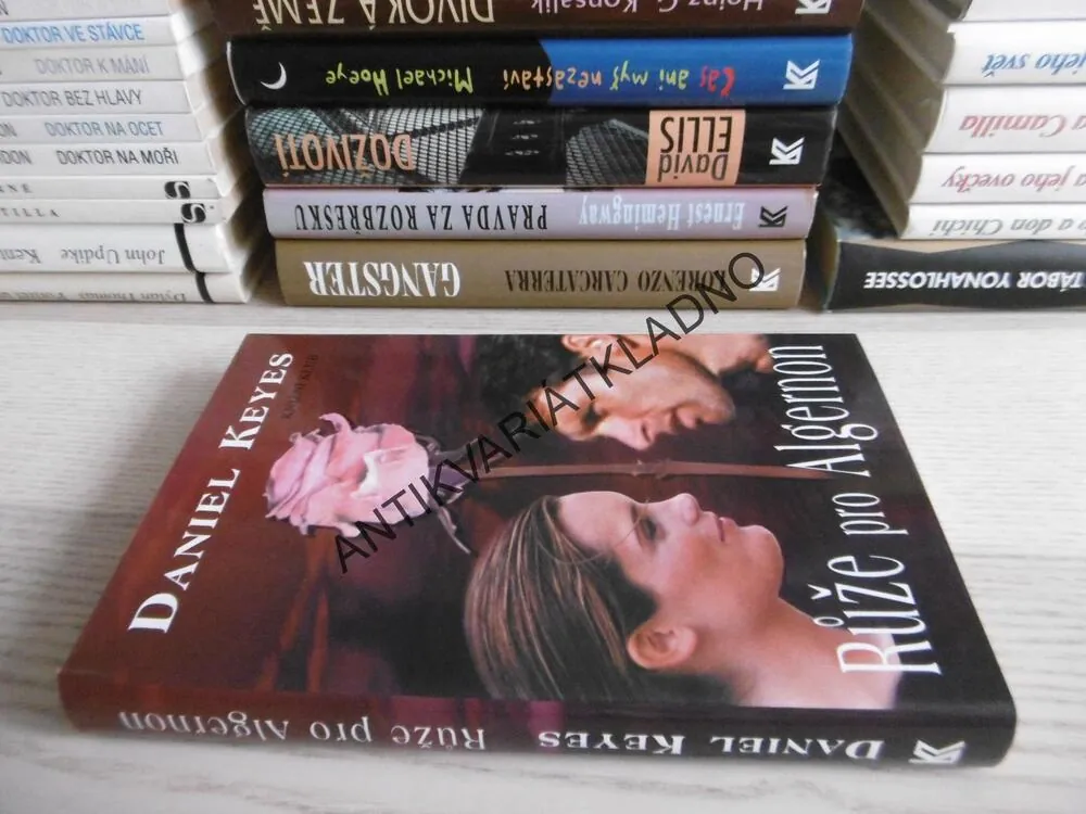 RŮŽE PRO ALGERON, DANIEL KEYES, **an