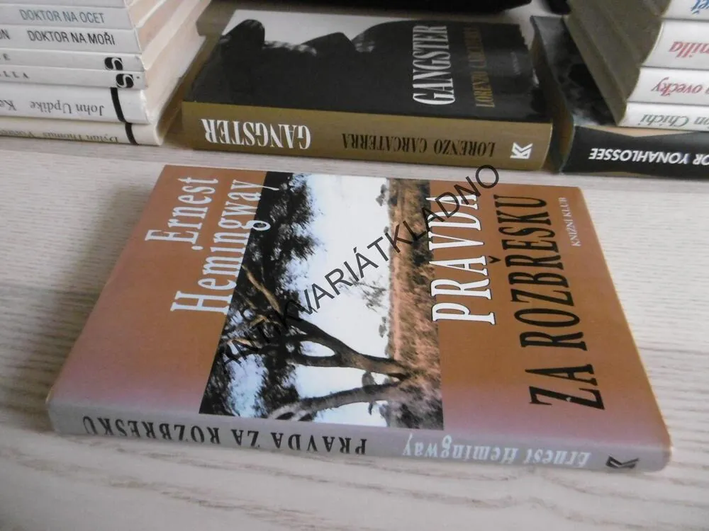PRAVDA ZA ROZBŘESKU, ERNEST HEMINGWAY, **an