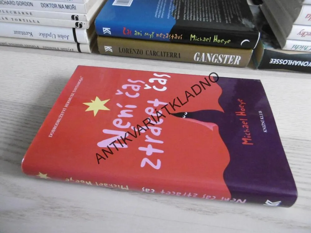 NENÍ ČAS ZTRÁCET ČAS, MICHAEL HOEYE, **an