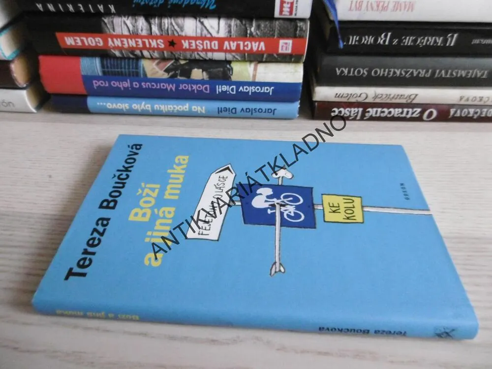 BOŽÍ A JINÁ MUKA, TEREZA BOUČKOVÁ, **an