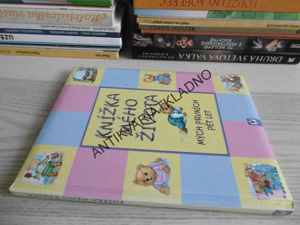 KNÍŽKA MÉHO ŽIVOTA, MÝCH PRVNÍCH PĚT LET, NEVYPLNĚNO, **an
