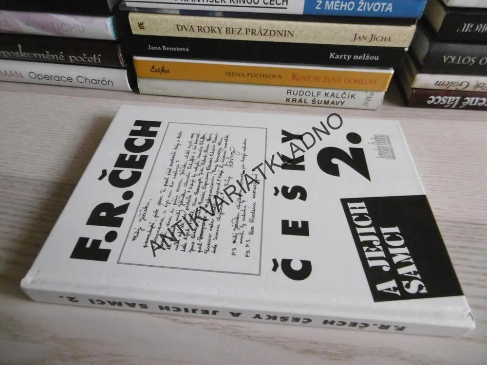 ČEŠKY A JEJICH SAMCI 2., FRANTIŠEK RINGO ČECH, **an