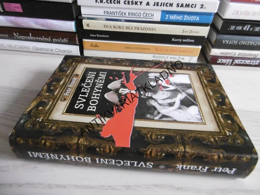 SVLEČENI BOHYNĚMI, PETR FRANK, **an