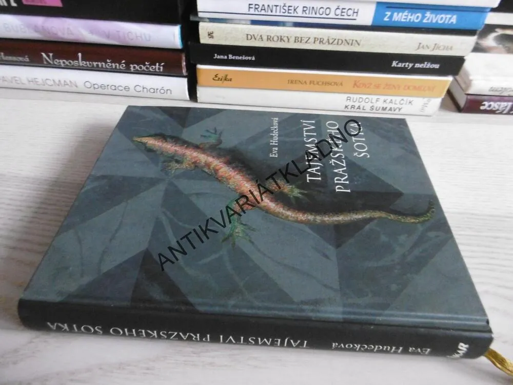 TAJEMSTVÍ PRAŽSKÉHO ŠOTKA, EVA HUDEČKOVÁ, **an