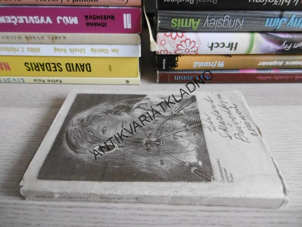 PRŮVODKYNĚ CIZINCŮ, PETR SKARLANT, **an