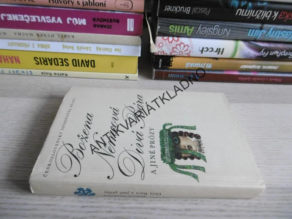 DIVÁ BÁRA A JINÉ PRÓZY, BOŽENA NĚMCOVÁ, **an