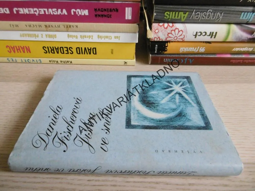JISKRA VE SNĚHU, DANIELA FISCHEROVÁ, **an