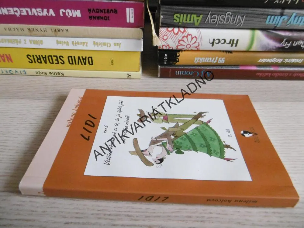 LIDI ANEB VĚTŠINA NÁRODŮ MÁ ZA TO, ŽE JE ÚPLNĚ JINÁ NEŽ VĚTŠINA NÁRODŮ, MILENA HOLCOVÁ, **an