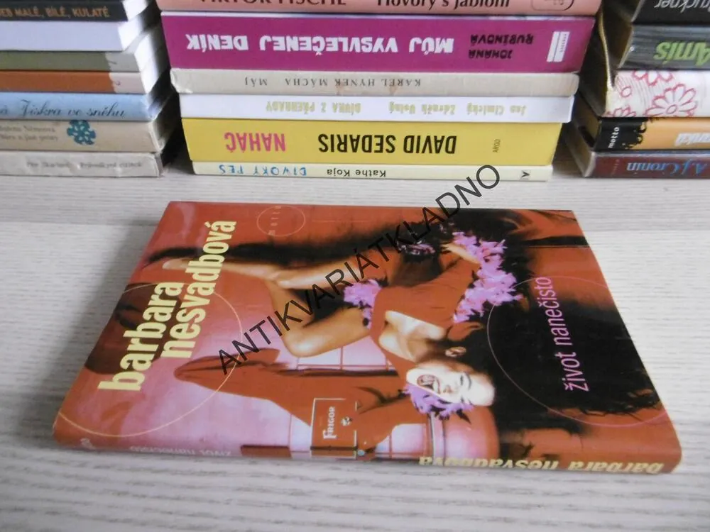 ŽIVOT NANEČISTO, BARBARA NESVADBOVÁ, **an