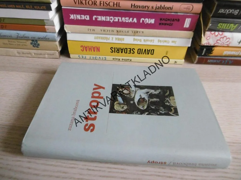 STROPY, ZUZANA BRABCOVÁ, **an