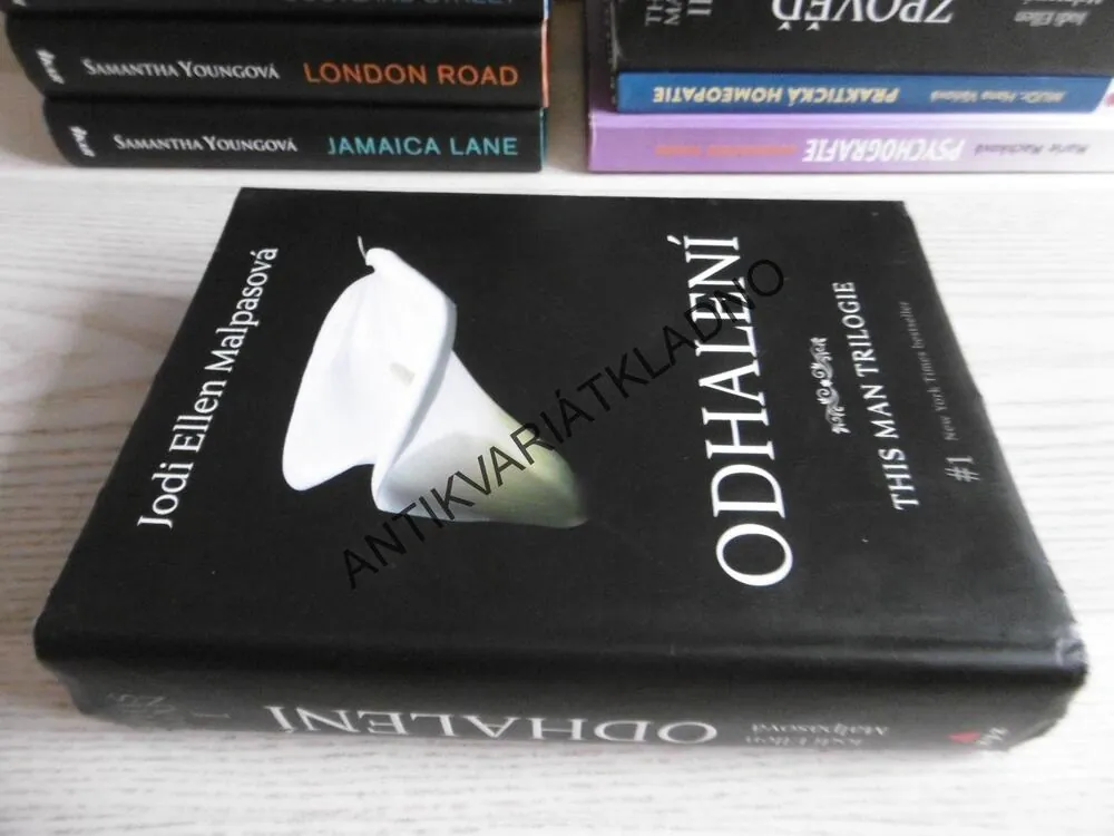 ODHALENÍ, THIS MAN TRILOGIE 1., JODI ELLEN MALPASOVÁ **an