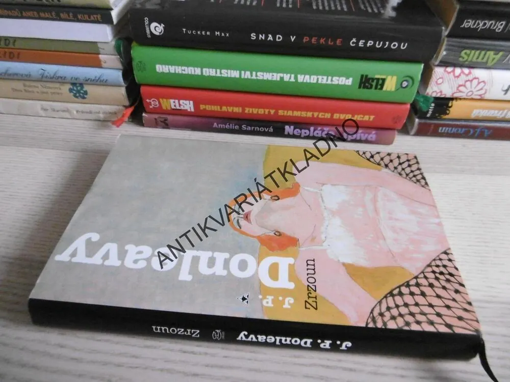 ZRZOUN, J. P. DONLEAVY, **an