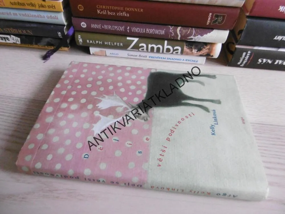 DĚJÍ SE VĚTŠÍ PODIVNOSTI, KELLY LINKOVÁ, **an