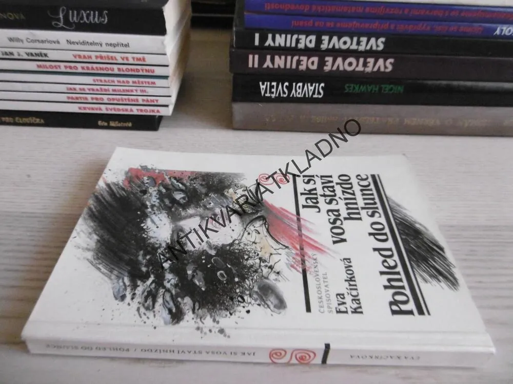 JAK SI VOSA STAVÍ HNÍZDO, POHLED DO SLUNCE, EVA KAČÍRKOVÁ, **an