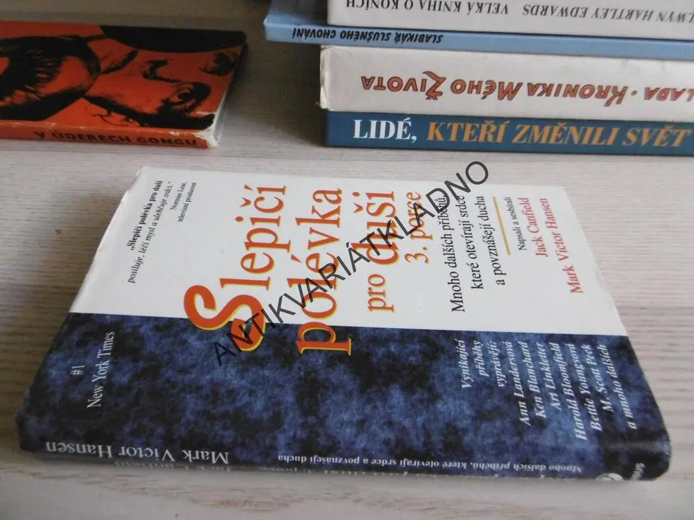 SLEPIČÍ POLÉVKA PRO DUŠI, 3. PORCE, JACK CANFIELD, MARK VICTOR HANSEN, **an