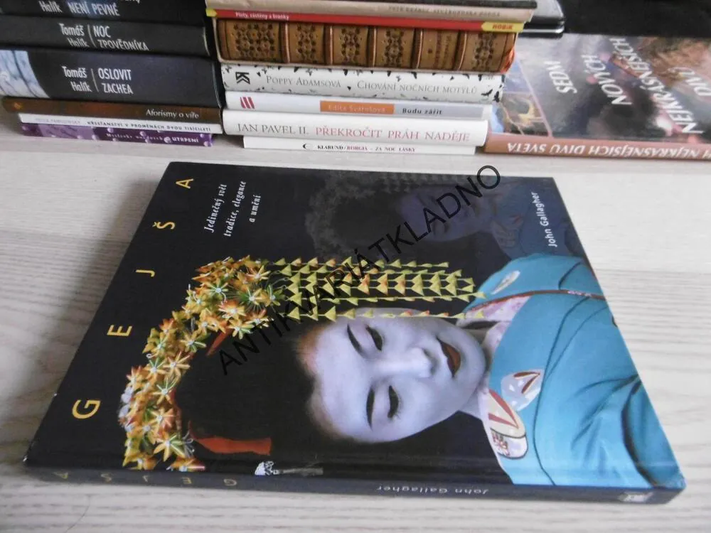 GEJŠA, JEDINEČNÝ SVĚT TRADICE, ELEGANCE A UMĚNÍ, JOHN GALLANGHER, **an