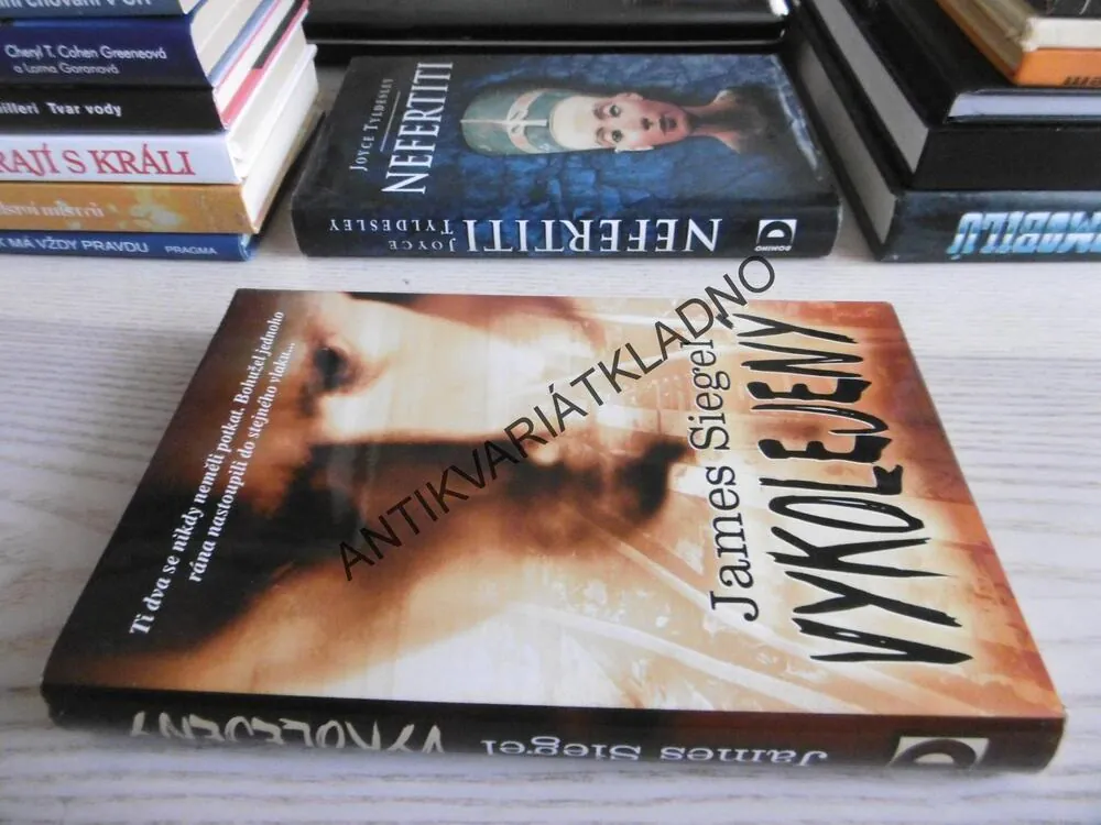VYKOLEJENÝ, JAMES SIEGEL, **an