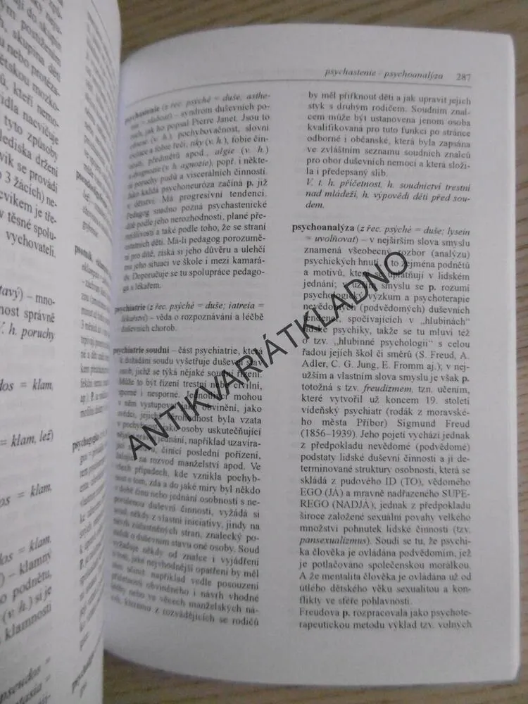 DEFEKTOLOGICKÝ SLOVNÍK, **an