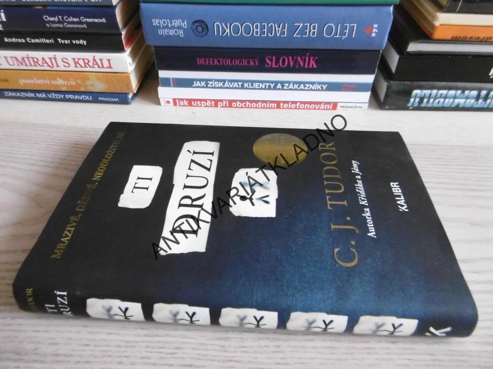 TI DRUZÍ, C. J. TUDOR, **an